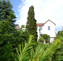 Idyllisches Familienwohnen in Weinböhla mit großem Grundstück und Potenzial