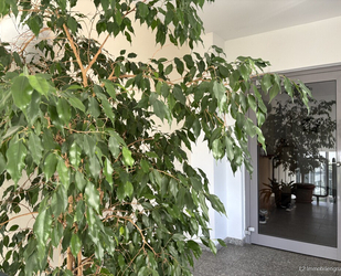 Seniorengerechte 3-Zimmer Eigentumswohnung mit Fahrstuhl und TG - Coswig