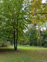 Parkanlage - 