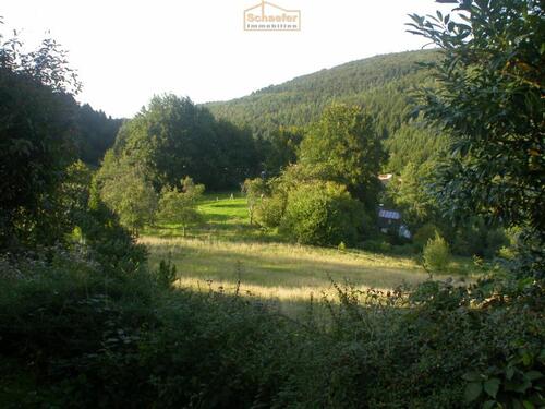 Aussicht - Mehrfamilienhaus, Wohnhaus mit 226,00 m&sup2; in Iserlohn zum Kaufen