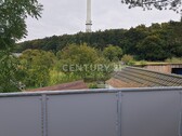 Ausblick - 
