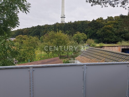 Ausblick - 