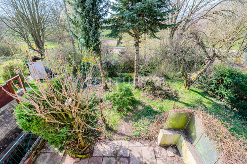 Blick in den Garten - 