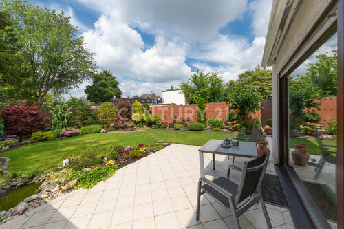 Blick in den Garten - 