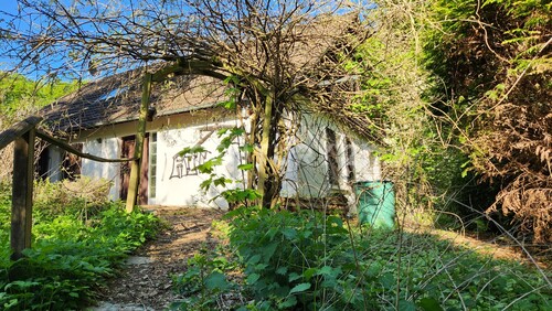 Haus - Frontansicht - 4 Zimmer Bauernhaus, Landhaus in Bochum