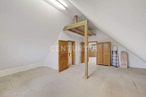 DG Studio - 