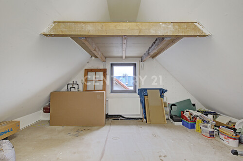 DG Studio - 