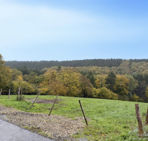 JÄSCHKE - Baugrundstück in Roetgen-Rott – für Ihr Traumhaus in naturnaher Lage! - Roetgen / Rott