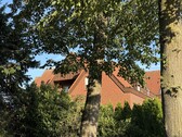 Gartenansicht - 