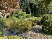 Gartenteich - 