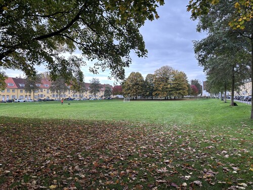 Grünfläche Grüner Grund - 