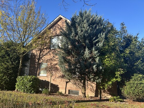 Giebelansicht Süd - 7 Zimmer Einfamilienhaus zum Kaufen in Münster