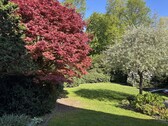 Garten - 5 Zimmer Doppelhaushälfte in Münster