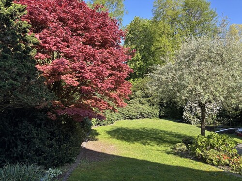Garten - 5 Zimmer Doppelhaushälfte in Münster