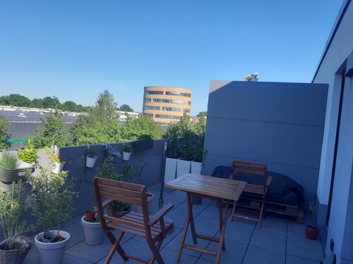 Teil der Dachterrrasse - 2 Zimmer Etagenwohnung zur Miete in Münster