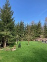im Grundstück-->> - Einfamilienhaus mit 100,00 m² in Freiberg zum Kaufen