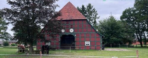viel Baumbestand - Historischer Niedersachsen- Bauernhof in Fachwerk mit Pferdeboxen u. tollen Eichenbaumbestand