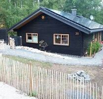 Natürlich wohnen, hochwertig ausgestattet und energetisch durchdacht - Steyerberg
