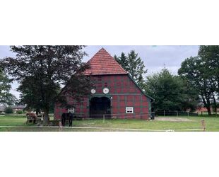 Historischer Niedersachsen- Bauernhof in Fachwerk mit Pferdeboxen u. tollen Eichenbaumbestand - Diepenau
