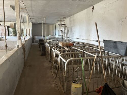 Stallung - 