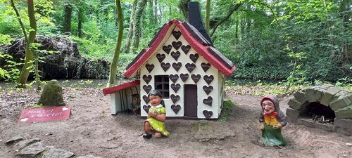 Der Märchenwald - 