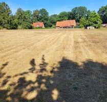 Bauland wartet auf Sie ... - 150.000,00&nbsp;EUR Kaufpreis, ca.&nbsp; 4.000,00&nbsp;m&sup2; in Balge (PLZ: 31609)