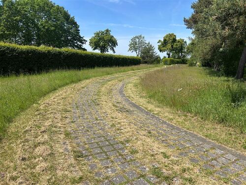 Zufahrt mit Baum- u. Heckenbepflanzung - 
