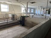 IMG_6622 - 
