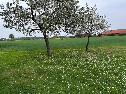 Acke- u. Gründlandflächen - 