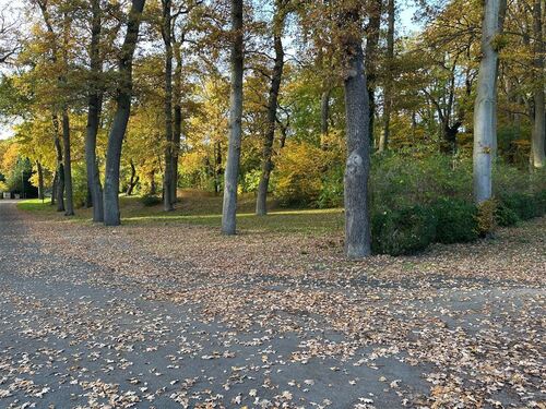 umgeben von Waldflächen - 