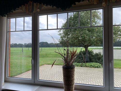 Blick von innen nach Außen - 