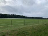 Blick in die Natur - 