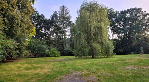 Gartenanlage - 