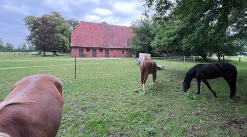 Ideal zur Pferdehaltung - 