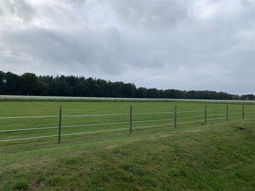 Blick in die Natur - 