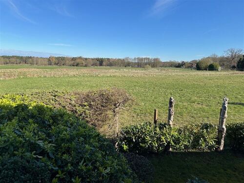 Blick in die Ferne von der Terrasse - 