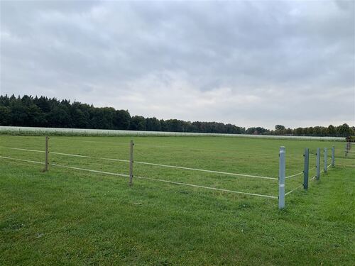 Erweiterungspotenzial - 