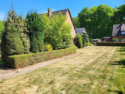 Garten mit Obstbäumen - 