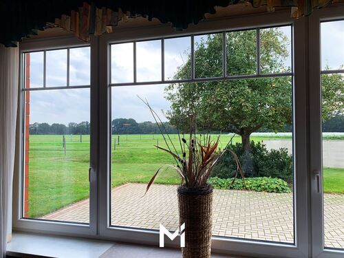 Ausblick vom kleinen Saal auf die Koppel - 