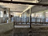 Stallbereich - 