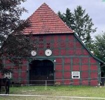 Historischer Niedersachsen- Bauernhof in Fachwerk mit Pferdeboxen u. tollen Eichenbaumbestand - Diepenau