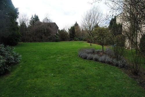 Garten / Grundstück - 