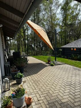 immer mit Blick in den Wald - 