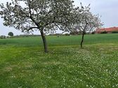 Acke- u. Gründlandflächen - 