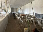 Stall - 