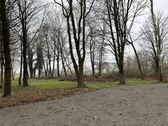 Teil des Baumbestands - 