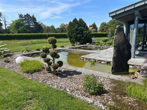 Blick auf den Teich - 