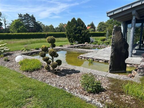 Blick auf den Teich - 