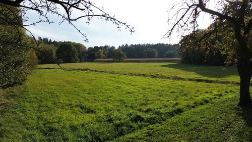 Grünland an der Hofzufahrt - 