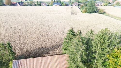 arronierte Ackerflächen - 